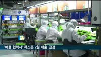 '애플 최대 협력사' 폭스콘 2월 매출 급감…아이폰 수요 감소 탓?