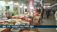대파 가격, 1년전보다 40% 가까이 올라…농식품부 "6월 돼야 하락"