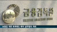 금감원, 보험업 개편 회계제도 해석 실무협의