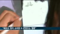 "해외서 가장 많이 소비된 K-콘텐츠는 웹툰"
