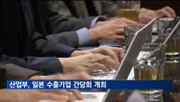산업부, 일본 수출기업 간담회…화장품·콘텐츠 등 유망품목 발굴
