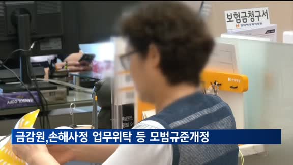 금감원, 손해사정 업무위탁 등 모범규준개정