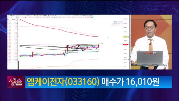 [생생한 주식쇼 생쇼] 엠케이전자 (033160)