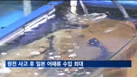 후쿠시마 원전 사고 후 일본 어패류 수입 1분기 기준 최대