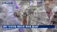 보험사, 펫팸족 겨냥한 보험상품 출시…수의사법 개정에 관심