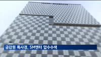 금감원 특사경, '시세조종 의혹' 카카오 이어 SM 압수수색