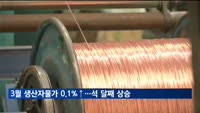 3월 생산자물가 0.1%↑…석 달 연속 상승