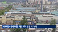 제조업·비제조업 5월 BSI 전망치, 12개월 연속 동반 부진