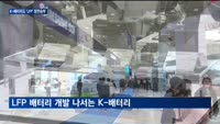 글로벌 시장서 뒤쳐진 'LFP 배터리'…K-배터리도 정면승부 나선다