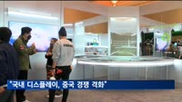 "국내 디스플레이, 중국 경쟁 격화…신용도 강등 압박 커져"