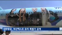 대한항공, 2030부산세계박람회 유치 염원 담은 특별기 공개