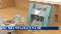 외환보유액 두 달 연속 증가…4월 6억1천만 달러↑