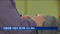 고용보험 가입자 증가폭 다시 축소