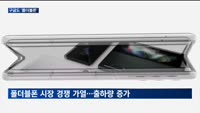 폴더플폰 대중화 시대…구글 추격 반기는 삼성전자