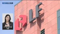 '트러블메이커' 스타마케팅 리스크에 가상인간 마케팅 뜬다