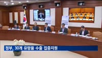 30개 유망품 수출 집중지원…게임·라면·김 'K-상품'도 포함