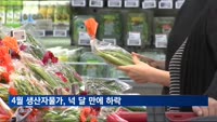 4월 생산자물가 0.1%↓…넉 달 만에 하락