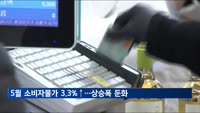 5월 소비자물가 3.3% 상승…19개월 만의 최저치