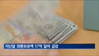 지난달 외환보유액 57억 달러 급감…"달러 강세·환율 안정 조치 영향"