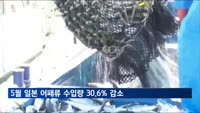 5월 일본 어패류 수입량 30.6% 줄어…두 달 연속 두자릿수 감소