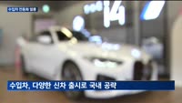수입차 전동화 열풍…슈퍼카도 대세 동참