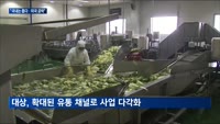 대상 '럭키푸즈' 인수하고 미국 김치시장 공략…CJ제일제당과 전면전