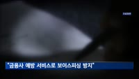 금감원 "금융사 예방 서비스로 보이스피싱 피해 방지"