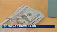 6월 외환보유액 4천214억 달러…달러 약세 등 영향 소폭 증가