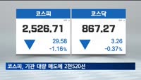 코스피, 기관 대량 매도에 2천520선