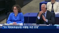 정부 "EU 역외보조금규정 이행법에 우리 의견 반영"