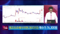 [생생한 주식쇼 생쇼] 에코프로에이치엔 (383310)
