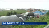 잦은 호우에 보리 생산 1.1%↓…마늘 생산 4년만에 최대 폭 증가