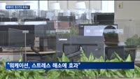 일하면서 쉬는 '워케이션'…직장인 정신건강에 '효과적'