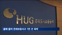 올해 들어 7개월 만에 전세보증사고 1만 건 육박