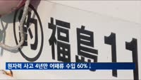 日 원자력 사고 후 4년만에 일본 어패류 수입 60% 감소