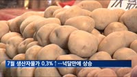 7월 생산자물가 0.3%↑…농산물 가격 뛰자 넉 달 만에 반등