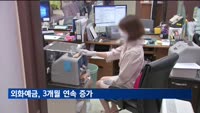 외화예금 3개월 연속↑…달러예금 8개월 만에 최대폭 증가