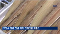 후쿠시마 오염수 방류 첫날 대형마트 건해산물 매출 급증