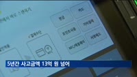간편결제 서비스 이용 증가에…5년간 사고금액도 13억 넘어