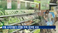 8월 소비자물가 3.4% 상승…4개월 만에 최대폭