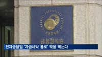 전자금융업 '자금세탁 통로' 악용 막는다