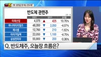 [오늘장TOP5 2위]  힘 못쓰는 반도체...지금부터 모아가라?!