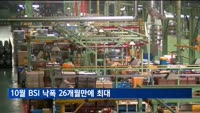 "10월 경기전망 부정적…BSI 낙폭, 26개월만에 최대"