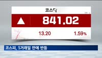 코스피, 5거래일 만에 반등…원화값, 장중 연저점 경신하기도