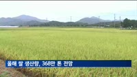 올해 쌀 생산량, 368만 톤 전망…재배면적 감소에 2%↓