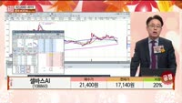 [주상전화] 셀바스AI (108860)