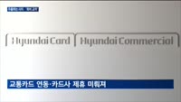 애플페이 주춤하는 사이…삼성페이 '서비스 확장'