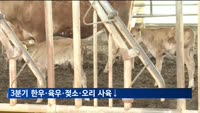 3분기 한우·육우·젖소·오리 사육↓…돼지·닭은 증가
