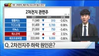 [오늘장TOP5 5위]  2차전지 '급락' 왜?...포스코그룹 실적발표