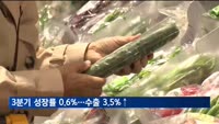 3분기 성장률 0.6%…세 분기 연속 플러스 성장